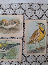 Load image into Gallery viewer, Vintage Useful Birds of America Advertising Cards Set of 4 | Church & Dwight Bird Trade Cards