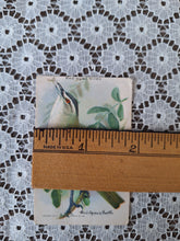 Load image into Gallery viewer, Vintage Useful Birds of America Advertising Cards Set of 4 | Church &amp; Dwight Bird Trade Cards

