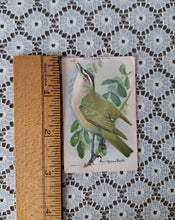 Load image into Gallery viewer, Vintage Useful Birds of America Advertising Cards Set of 4 | Church &amp; Dwight Bird Trade Cards
