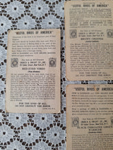 Load image into Gallery viewer, Vintage Useful Birds of America Advertising Cards Set of 4 | Church &amp; Dwight Bird Trade Cards
