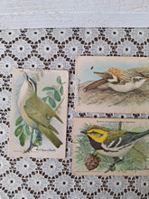 Load image into Gallery viewer, Vintage Useful Birds of America Advertising Cards Set of 4 | Church &amp; Dwight Bird Trade Cards
