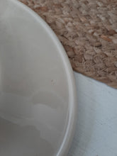 Load image into Gallery viewer, Vintage Shenango Ivory Floral Parrot Bird Restaurantware Platter
