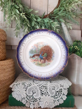 Load image into Gallery viewer, Vintage Sterling China Blue Rimmed Peacock Blue Rimmed Ironstone Plate
